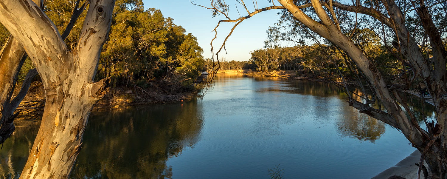 Murray darling river