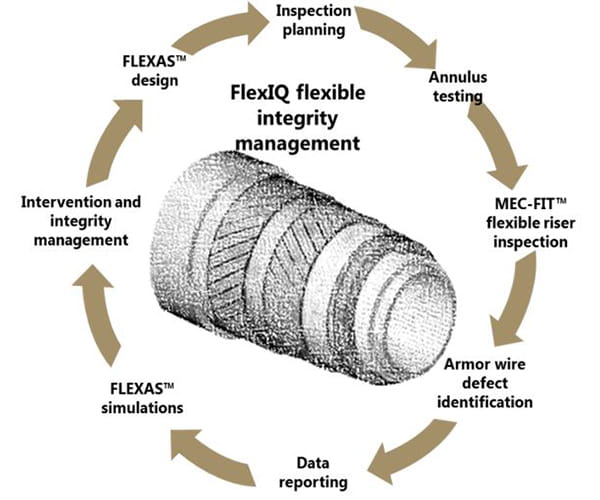 Diagram of a flexible riser showing the steps for FlexIQ flexible integrity management